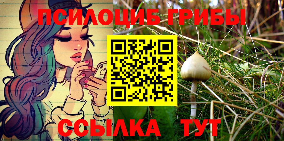 Псилоцибиновые грибы GOLDEN TEACHER Великие Луки